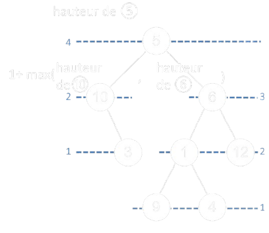 Un exemple de calcul de la hauteur d'arbre binaire