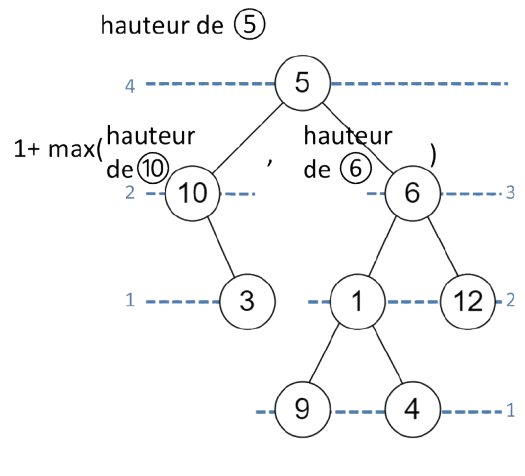 Un exemple de calcul de la hauteur d'arbre binaire