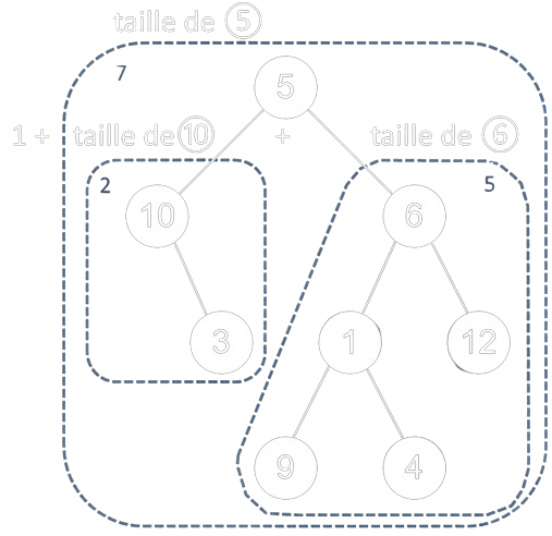 Un exemple de calcul de la taille d'arbre binaire