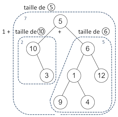 Un exemple de calcul de la taille d'arbre binaire