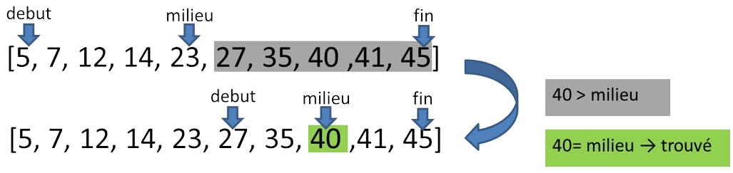 Recherche dichotomique de 40 dans le [5, 7, 12, 14, 23, 27, 35, 40 ,41, 45]