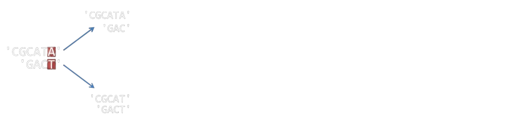 Alignement séquences - Etape 2