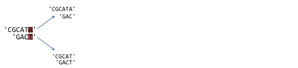 Alignement séquences - Etape 2