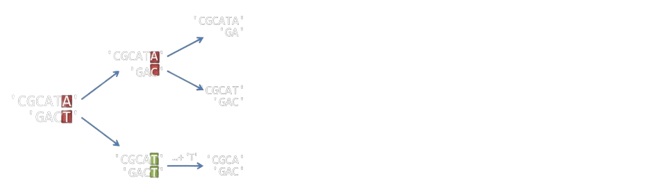 Alignement séquences - Etape 3