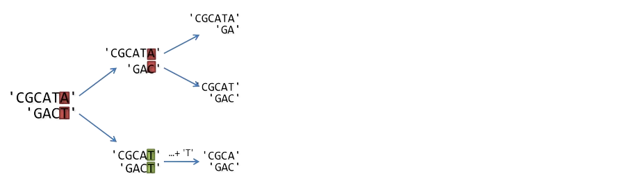 Alignement séquences - Etape 3