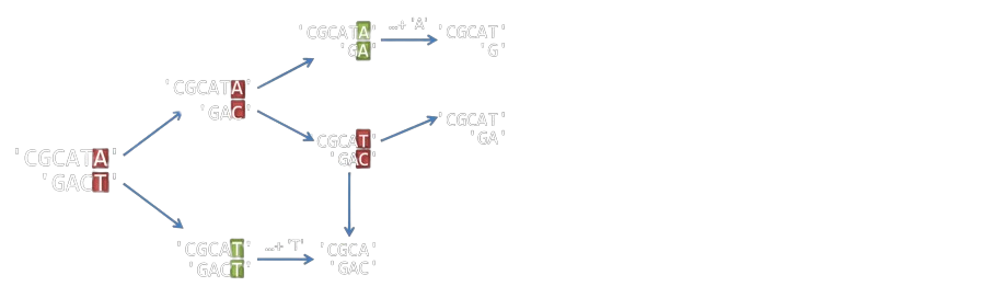 Alignement séquences - Etape 4
