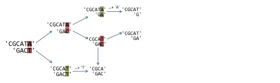 Alignement séquences - Etape 4