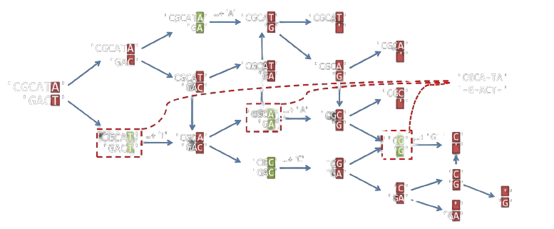 Alignement séquences - Etape 5